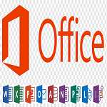 Microsoft Office License