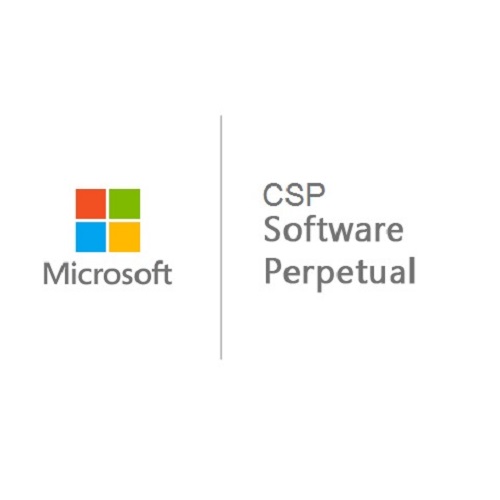 Microsoft SharePoint Enterprise 2019 Device CAL (CSP) - Image 2