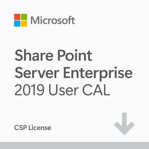 Microsoft SharePoint Enterprise 2019 User CAL