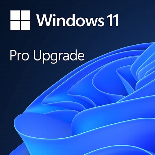 Microsoft Windows 11 Pro Upgrade (CSP License)