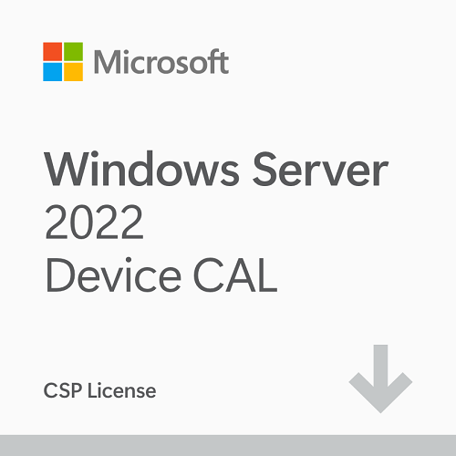Windows Server 2022 CAL - 1 Device CAL - 1 year