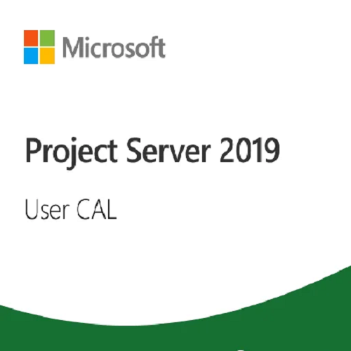 Microsoft Project Server 2019 User CAL CSP License