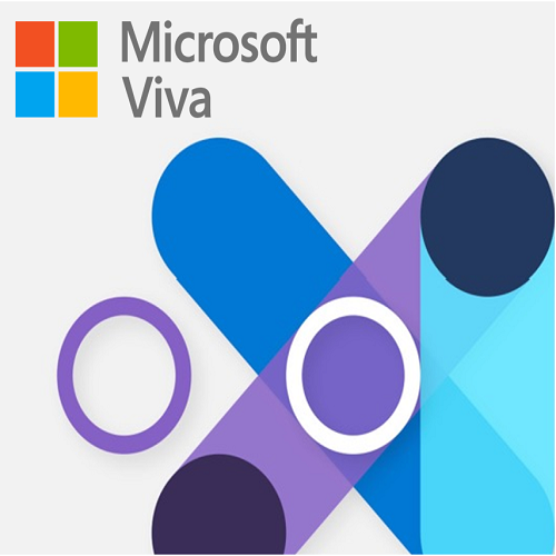 Microsoft Viva CSP License