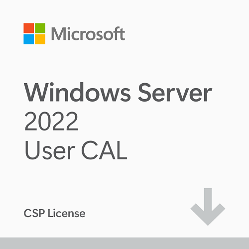 Microsoft Windows Server 2022 - 1 User CAL CSP License Perpetual