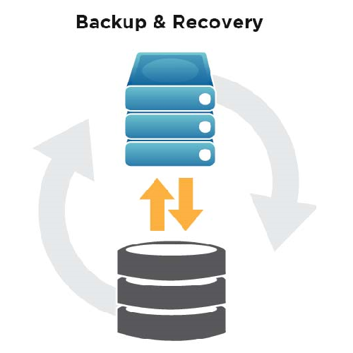 Backup and Recovery