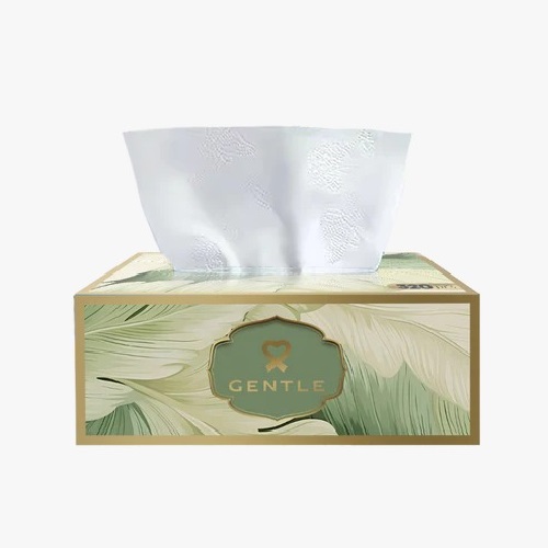 Tissue Box