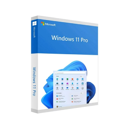 Microsoft Windows 11 Professional 64 Bit OEM DVD Pack License
