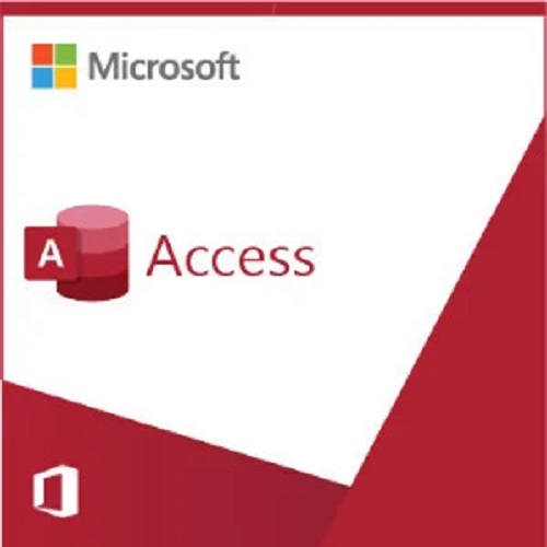 Microsoft Access LTSC 2024 (CSP) - Image 2